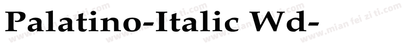 Palatino-Italic Wd字体转换